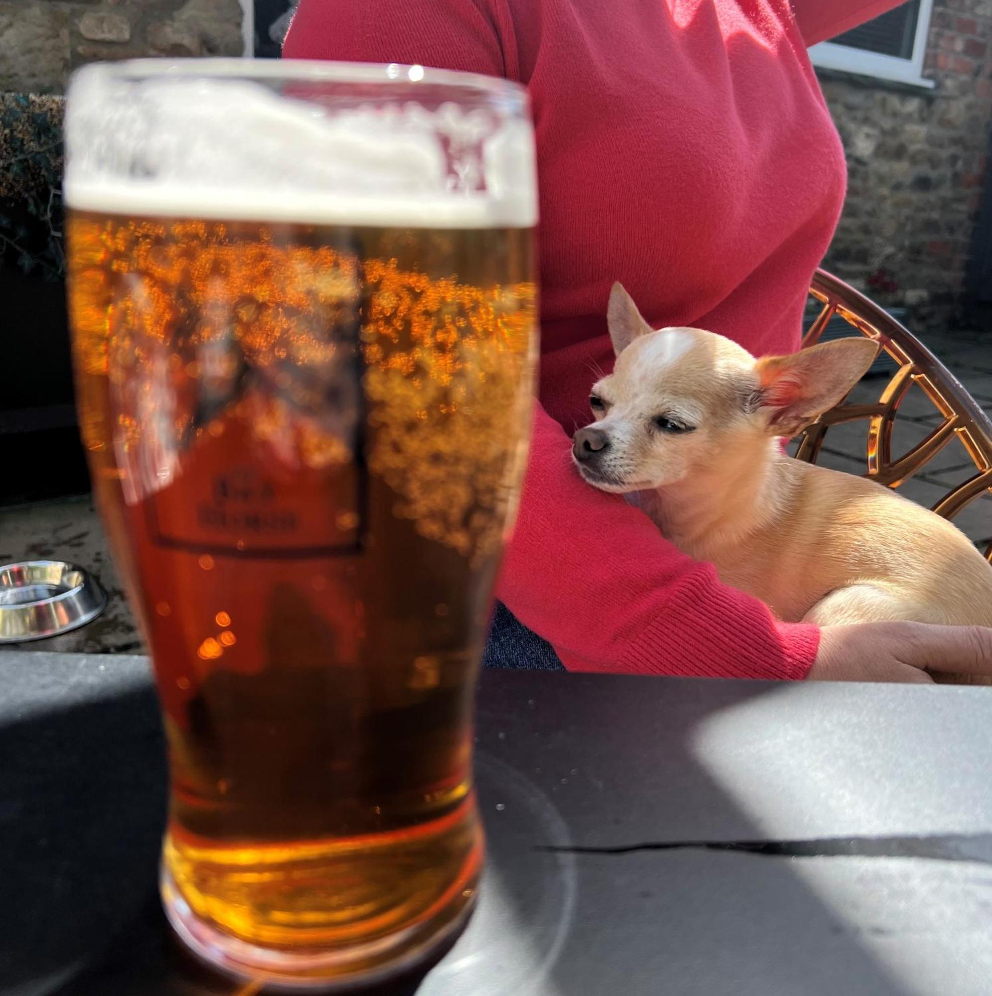The Bay Horse, Masham Hotel ภายนอก รูปภาพ